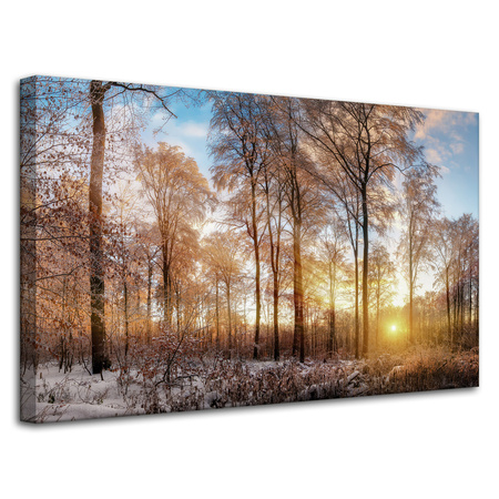 Canvas Print Trees Winter Rising Sun 80x50 cm