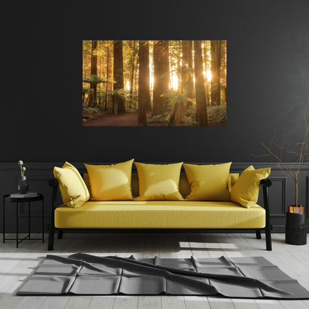 Canvas Print Sun Rays Forest Trees 50x40 cm