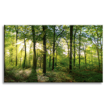 Canvas Print Sun Forest Trees Rays of Light 70x50 cm
