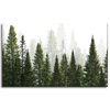 Canvas Print Rain Forest Nature Trees 100x60 cm