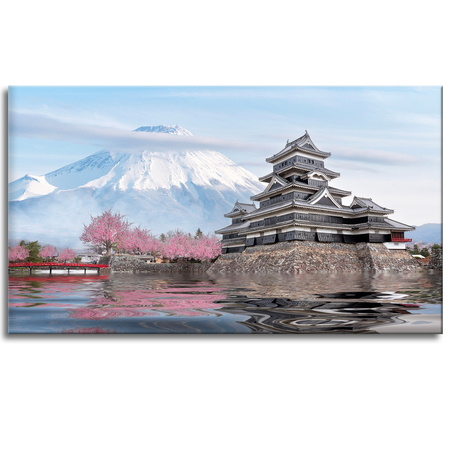 Canvas Print Nature Mount Fuji Japan 120X60 cm