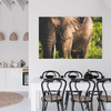 Canvas Print Animals Elephant_3 40x30 cm