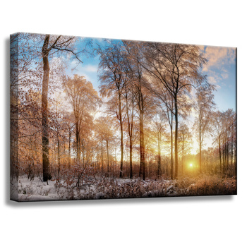 Canvas Print Trees Winter Rising Sun 60x40 cm
