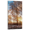 Canvas Print Trees Winter Rising Sun 60x120 cm