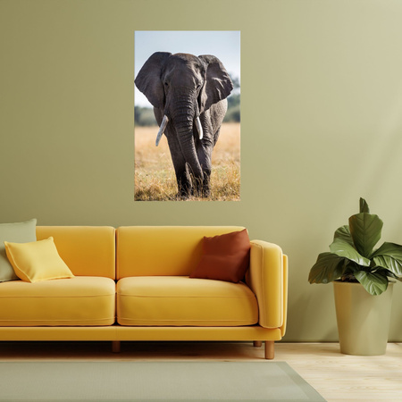 Canvas Print Large Gray Elephant Savannah Africa 80x120 cm