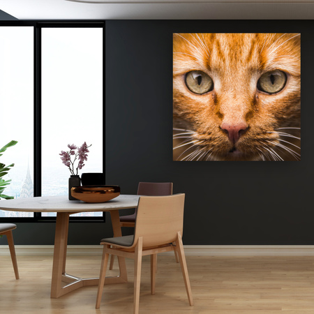 Canvas Print Cat Face Close Up 90x90