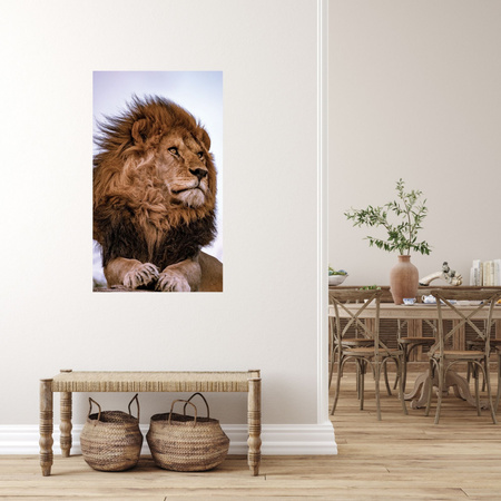 Canvas Print Head Lion Mane Wildness 80x120 cm