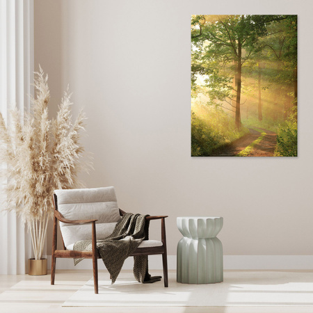 Canvas Print Sunlight Forest Path Nature 80x120 cm