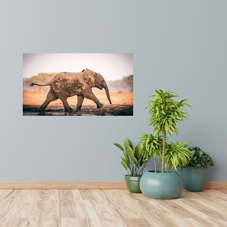 Canvas Print Muddy Running Elephant Nature 100x80 cm