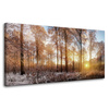 Canvas Print Trees Winter Rising Sun 80x40 cm
