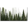 Canvas Print Rain Forest Nature Trees 80x40 cm