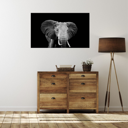 Canvas Print Gray Large Elephant on Black Background 100x80 cm