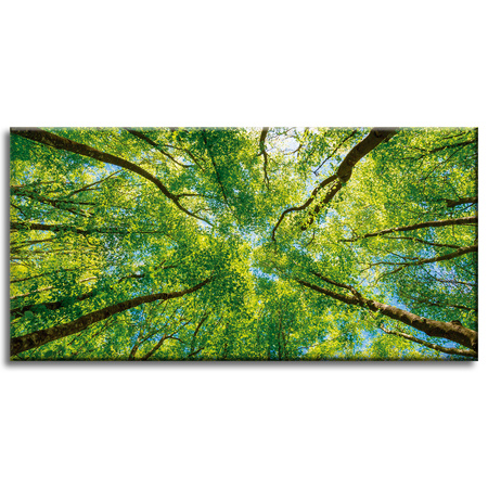 Canvas Print Trees Leaves Nature Forest Spring 80x40 cm