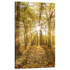 Canvas Print Sun Between Trees in the Forest 60x100 cm
