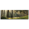 Canvas Print Forest Trees Sun Nature 120x40 cm