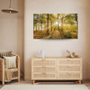 Canvas Print Sun Between Trees in the Forest 120x70 cm
