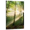 Canvas Print Sun in the Forest Trees Nature 50x80 cm