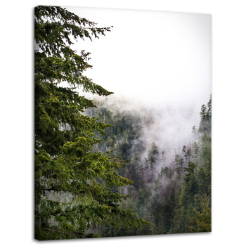 Canvas Print Nature Mountains Fog Forest 30x40 cm