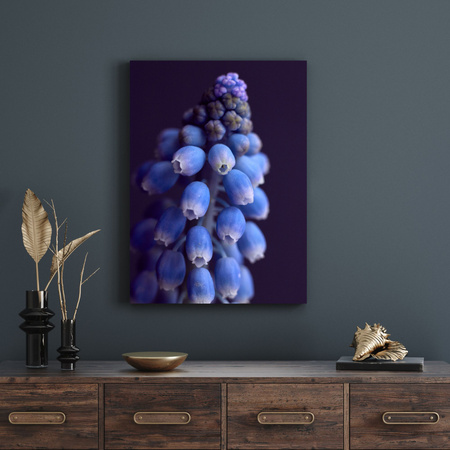 Canvas Print Botany Hyacinth 30x40 cm