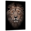 Canvas Print Lion Face Red Eyes Wild 80x120 cm