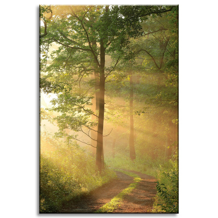 Canvas Print Sunlight Forest Path Nature 60x90 cm
