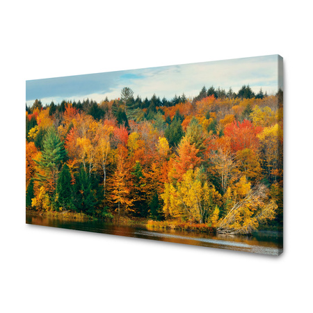 Canvas Print Colorful Leaves Trees Autumn Nature 120x80 cm