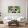 Canvas Print Elephant Face Tusks Gray Animal 100x80 cm