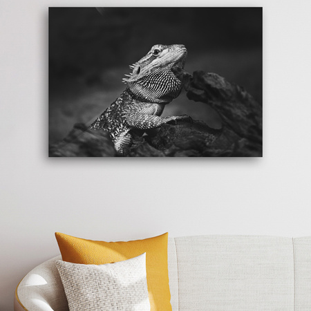 Canvas Print Lizard Reptile Black and White Nature 90x60