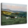 Canvas Print Nature Pasture_2 40x30 cm