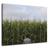 Canvas Print Nature Corn Field 100x80 cm