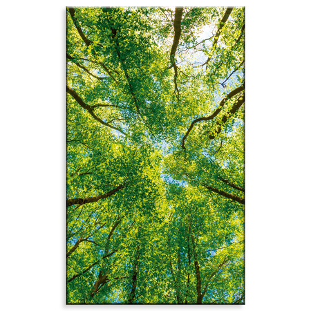 Canvas Print Trees Leaves Nature Forest Spring 60x100 cm