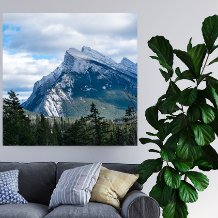 Canvas Print Nature Mountains Peak 40x40 cm
