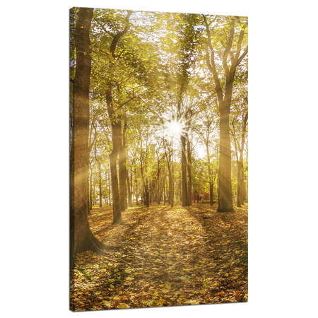Canvas Print Sun Between Trees in the Forest 70x120 cm