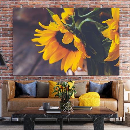 Canvas Print Botany Sunflowers 40x30 cm