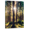 Canvas Print Forest Sun Trees Spring Morning 40x60 cm