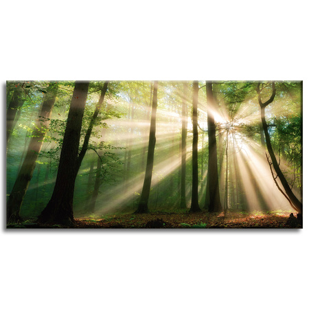 Canvas Print Sun in the Forest Trees Nature 80x40 cm