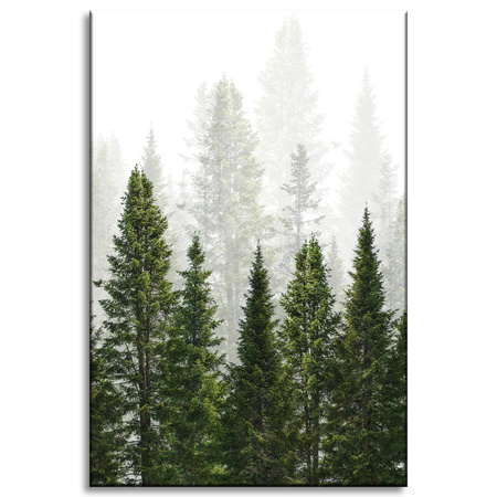 Canvas Print Rain Forest Nature Trees 60x90 cm