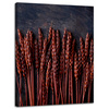 Canvas Print Botany Dark Wheat Ears 30x40 cm