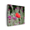 Canvas Print Botany Flower Garden 40x40 cm
