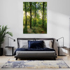 Canvas Print Sun Forest Trees Rays of Light 50x80 cm