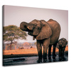 Canvas Print Elephants in Water Africa Nature 100x80 cm