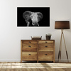 Canvas Print Gray Large Elephant on Black Background 100x80 cm