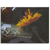 Canvas Print Botany Sunflower Book 40x30 cm