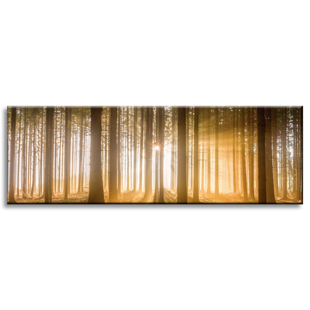 Canvas Print Sun in the Forest Light Tree 120x40 cm