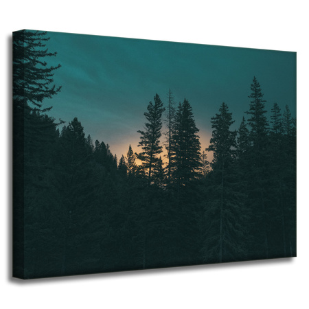 Canvas Print Nature Forest at Dusk 40x30 cm