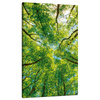Canvas Print Trees Leaves Nature Forest Spring 70x120 cm