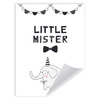 Little mister Birthday Poster 30X40 cm