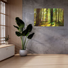 Canvas Print Oil Forest Trees Light Nature 100x80 cm