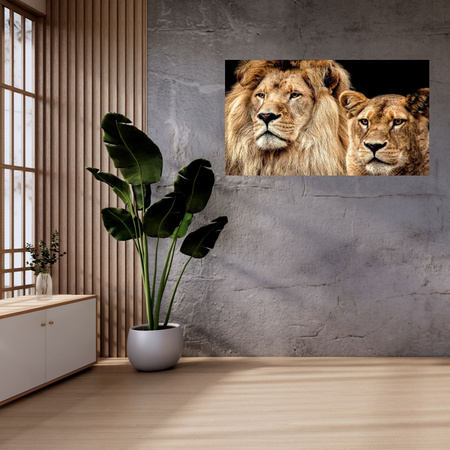 Canvas Print Portrait of Lion Pair Wilderness Couple 100x80 cm