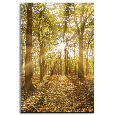 Canvas Print Sun Between Trees in the Forest 40x60 cm